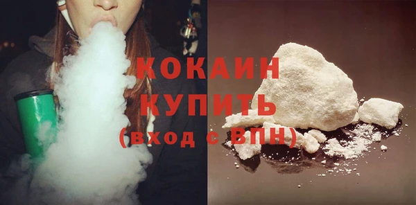 ГАЛЛЮЦИНОГЕННЫЕ ГРИБЫ Сосновый Бор
