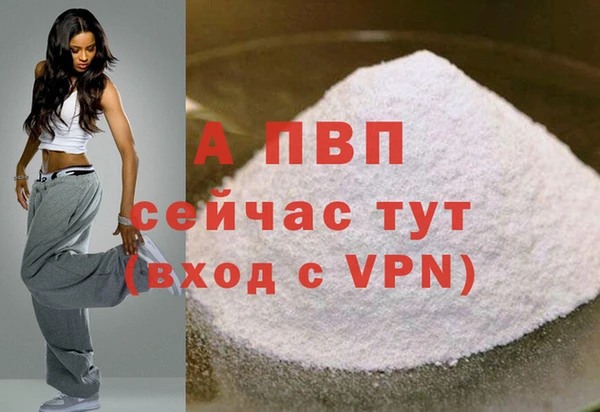 ГАЛЛЮЦИНОГЕННЫЕ ГРИБЫ Сосновый Бор