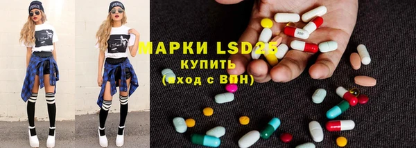 ГАЛЛЮЦИНОГЕННЫЕ ГРИБЫ Сосновый Бор