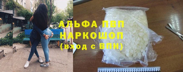 ГАЛЛЮЦИНОГЕННЫЕ ГРИБЫ Сосновый Бор