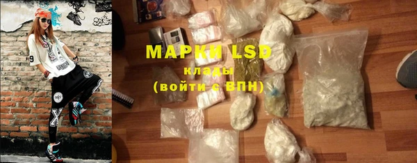 ГАЛЛЮЦИНОГЕННЫЕ ГРИБЫ Сосновый Бор