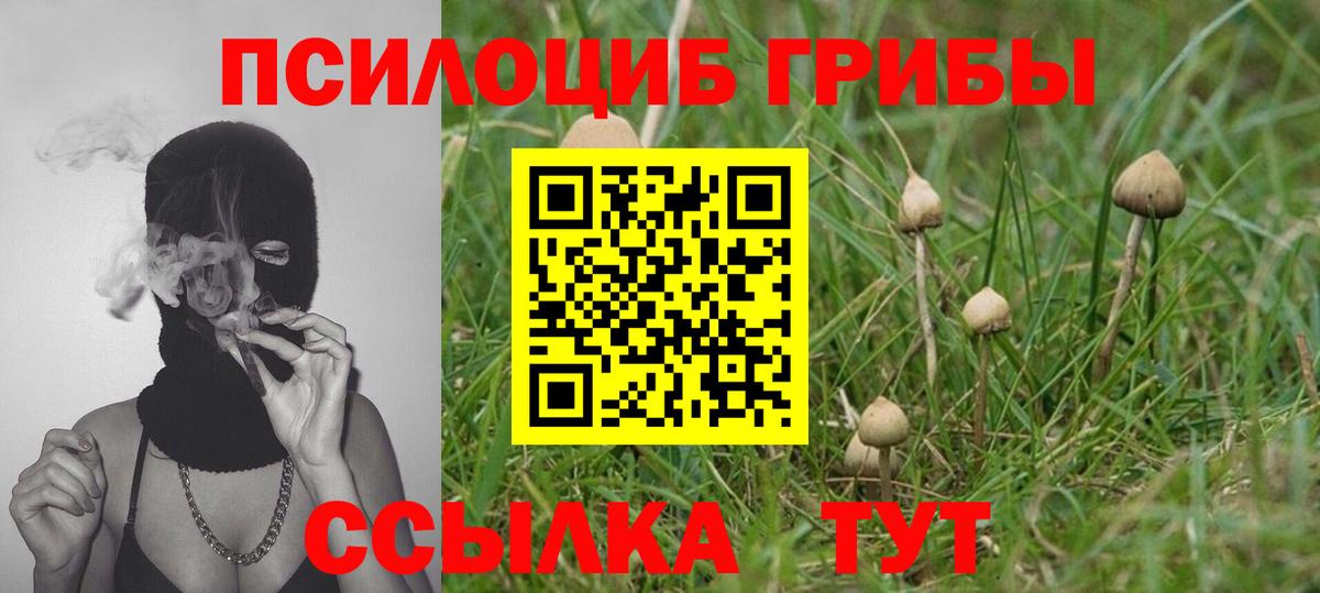 Галлюциногенные грибы MAGIC MUSHROOMS  Псилоцибиновые грибы прущие грибы  Челябинск  Вход с VPN 