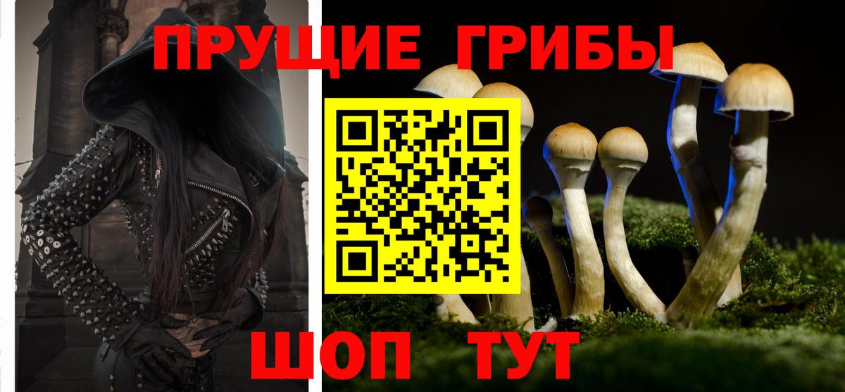 Псилоцибиновые грибы Psilocybe Челябинск