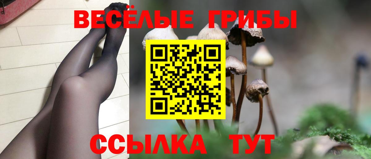 Псилоцибиновые грибы MAGIC MUSHROOMS  Челябинск 