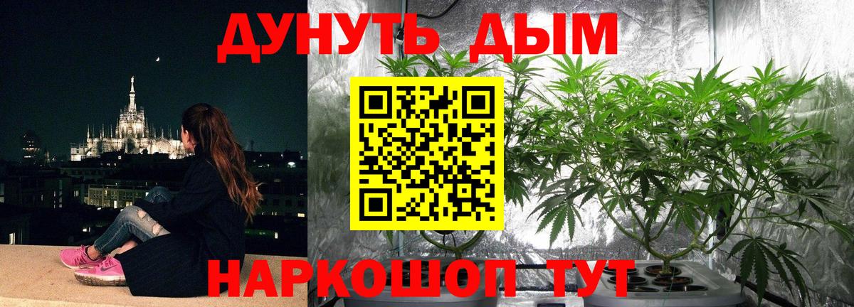 Шишки марихуана THC 21%  Вход с VPN  Шишки марихуана Bruce Banner  Бошки марихуана семена  Челябинск 
